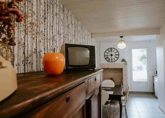 Studio De Plain-pied Avec Terrasse Et Jardin